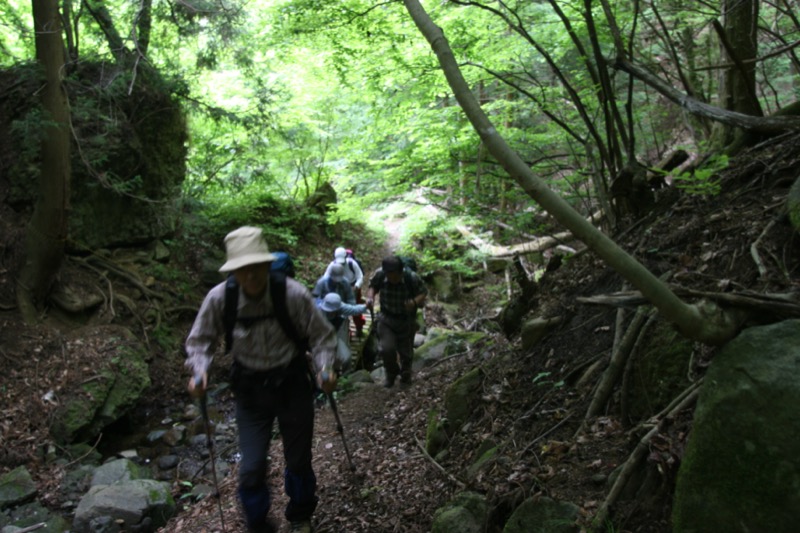 高川山